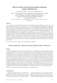 Effects of Nickel on the Fern Regnellidium Diphyllum Lindm