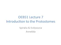 OEB51 Lecture 7 Introduc\On to the Protostomes