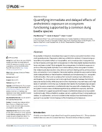 Quantifying Immediate and Delayed Effects of Anthelmintic Exposure on Ecosystem Functioning Supported by a Common Dung Beetle Species
