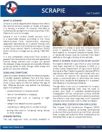 Scrapie Fact Sheet