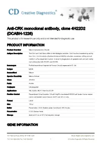 Anti-CRK Monoclonal Antibody, Clone 4H22D2 (DCABH-1226) This Product Is for Research Use Only and Is Not Intended for Diagnostic Use