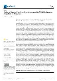 Status of Sperm Functionality Assessment in Wildlife Species: from Fish to Primates