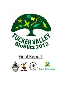 Final Report