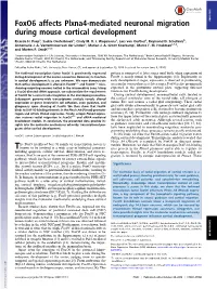 Foxo6 Affects Plxna4-Mediated Neuronal Migration During