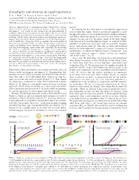 Serendipity and Strategy in Rapid Innovation T