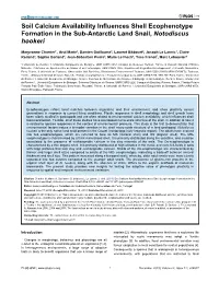 Soil Calcium Availability Influences Shell Ecophenotype Formation in the Sub-Antarctic Land Snail, Notodiscus Hookeri
