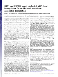 HRD1 and UBE2J1 Target Misfolded MHC Class I Heavy Chains for Endoplasmic Reticulum- Associated Degradation