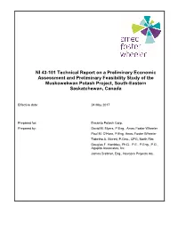 NI 43-101 Technical Report on a Preliminary Economic Assessment