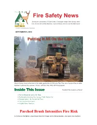 Fire Risk Is Up; Is Rattlesnake Risk Up, Too?
