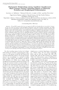 Phylogenetic Relationships Among Acantheae (Acanthaceae): Major Lineages Present Contrasting Patterns of Molecular Evolution and Morphological Differentiation