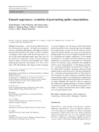 Eunuch Supremacy: Evolution of Post-Mating Spider Emasculation