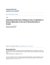 Determining the Best Uses of Mangrove Areas: an Application of Dynamic Optimization to the Case of Shrimp Mariculture in Ecuador