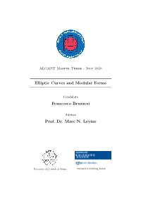 Elliptic Curves and Modular Forms