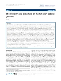 The Biology and Dynamics of Mammalian Cortical Granules Min Liu