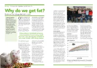 Why Do We Get Fat?