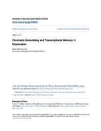 Chromatin Remodeling and Transcriptional Memory: a Dissertation
