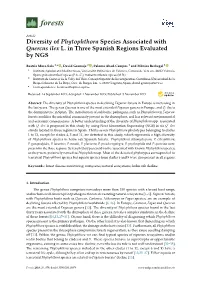 Diversity of Phytophthora Species Associated with Quercus Ilex L. in Three Spanish Regions Evaluated by NGS