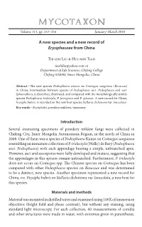 &lt;I&gt;Erysiphaceae&lt;/I&gt;