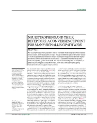 Neurotrophins and Their Receptors: a Convergence Point for Many Signalling Pathways