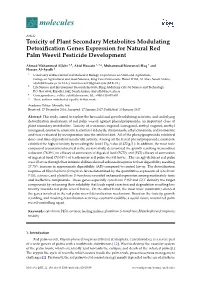 Toxicity of Plant Secondary Metabolites Modulating Detoxiﬁcation Genes Expression for Natural Red Palm Weevil Pesticide Development