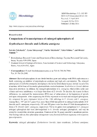 Comparison of Transcriptomes of Enlarged Spheroplasts of Erythrobacter Litoralis and Lelliottia Amnigena