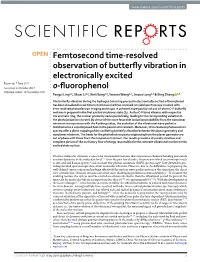 Femtosecond Time-Resolved Observation of Butterfly Vibration In