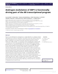 Androgen Modulation of XBP1 Is Functionally Driving Part of the AR Transcriptional Program
