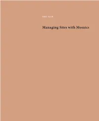 Lessons Learned: Reflecting on the Theory and Practice of Mosaic