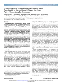 Phosphorylation and Activation of Cell Division Cycle Associated 8 by Aurora Kinase B Plays a Significant Role in Human Lung Carcinogenesis