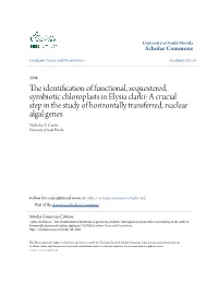 The Identification of Functional, Sequestered, Symbiotic Chloroplasts