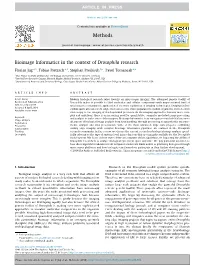 Bioimage Informatics in the Context of Drosophila Research