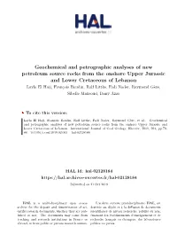 Geochemical and Petrographic Analyses of New Petroleum Source Rocks from the Onshore Upper Jurassic and Lower Cretaceous of Leba