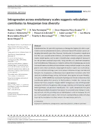 Introgression Across Evolutionary Scales Suggests Reticulation Contributes to Amazonian Tree Diversity