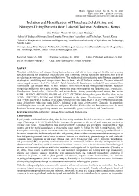 Isolation and Identification of Phosphate Solubilizing and Nitrogen-Fixing Bacteria from Lake Ol’Bolossat Sediments, Kenya