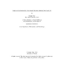 Uvic Thesis Template
