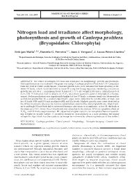 Nitrogen Load and Irradiance Affect Morphology, Photosynthesis and Growth of Caulerpa Prolifera (Bryopsidales: Chlorophyta)