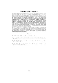 Phlebobranchia of CTAW