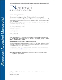 Binocular Neuronal Processing of Object Motion in an Arthropod