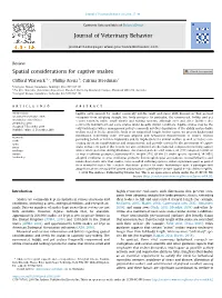 Spatial Considerations for Captive Snakes
