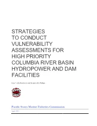 Strategies to Conduct Vulnerability Assessments for High Priority Columbia River Basin Hydropower and Dam Facilities