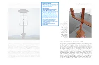 David J. Getsy "The Unrecognizability of Abstract Bodies"