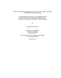 ROLE of COLOR and ODOR on the ATTRACTION of INSECT VISITORS to SPRING BLOOMING TRILLIUM a Thesis Presented to the Faculty Of