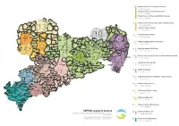 SAPV-Versorgung in Sachsen