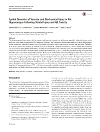 Spatial Dynamics of Vascular and Biochemical Injury in Rat Hippocampus Following Striatal Injury and Aβ Toxicity
