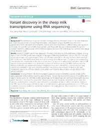 Variant Discovery in the Sheep Milk Transcriptome Using RNA Sequencing