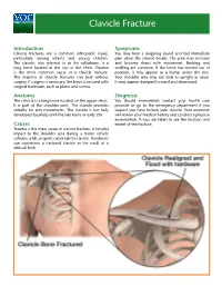 Clavicle Fracture