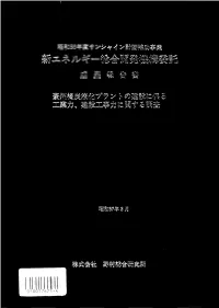 Achievement Report for Fiscal 1981 on Sunshine Program-Assisted Project