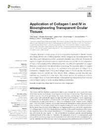 Application of Collagen I and IV in Bioengineering Transparent Ocular Tissues