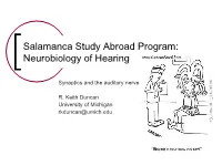Synaptics and the Auditory Nerve;.Pdf