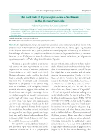 The Dark Side of Vipera Aspis: a Case of Melanism in the Iberian Peninsula
